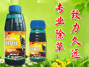 ���K�fʢ��(gu��)�H�������F(tu��n)�ɷ����޹�˾