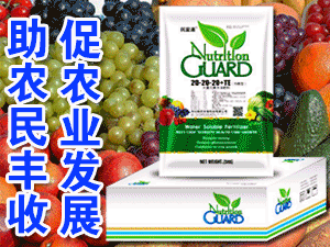 �ӱ����r(n��ng)����Ƽ����޹�˾