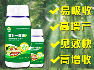 淮陽(yáng)縣圣豐肥業(yè)有限公司