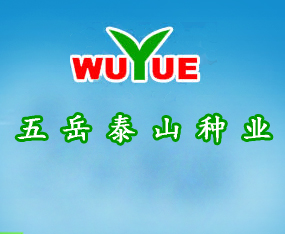 ̩���Ǻ�����̩ɽ�N�I(y��)���޹�˾