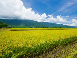 農(nóng)資代理商未來如何取得發(fā)å±?.jpg 農(nóng)資代理商未來如何取得發(fā)å±?.jpg