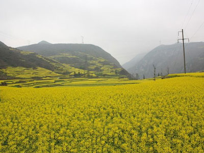 農(nóng)資代理商該怎樣轉(zhuǎn)型111.jpg 農(nóng)資代理商該怎樣轉(zhuǎn)型111.jpg