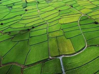 互聯(lián)網(wǎng)給農(nóng)資行業(yè)帶來(lái)了什ä¹?.jpg 互聯(lián)網(wǎng)給農(nóng)資行業(yè)帶來(lái)了什ä¹?.jpg