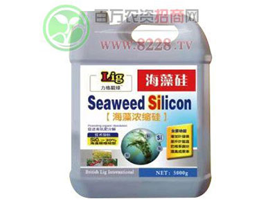 英國力格國際集團(tuán)順流而上ï¼?.jpg 英國力格國際集團(tuán)順流而上ï¼?.jpg