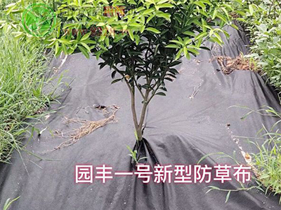 致力與農(nóng)膜加盟商建立長期穩(wěn)定的戰(zhàn)略合作伙伴關(guān)ç³?.jpg 致力與農(nóng)膜加盟商建立長期穩(wěn)定的戰(zhàn)略合作伙伴關(guān)ç³?.jpg