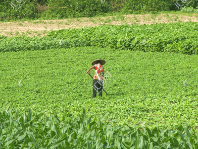 農(nóng)資營銷該如何發(fā)展呢ï¼?.jpg 農(nóng)資營銷該如何發(fā)展呢ï¼?.jpg