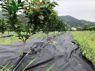 園豐一號可降解的防草布1.jpg 園豐一號可降解的防草布1.jpg