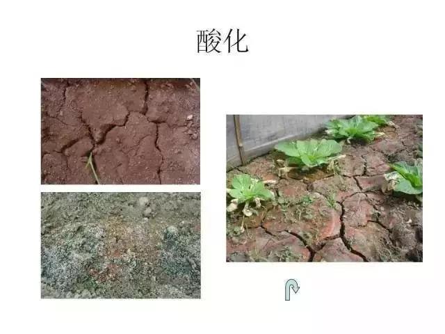 �DƬ2.jpg