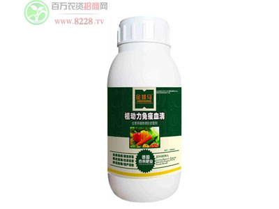̩���(gu��)�H�ʘI(y��)�c���y�ֹ���(chu��ng)�x��1.jpg