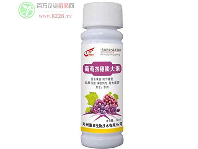葡萄增質(zhì)增產(chǎn)就用康菲膨大ç´?.jpg 葡萄增質(zhì)增產(chǎn)就用康菲膨大ç´?.jpg