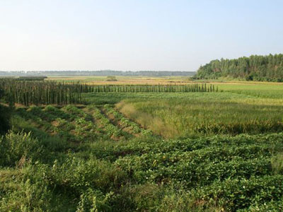 農(nóng)資代理商如何獲得更多的利益1.jpg 農(nóng)資代理商如何獲得更多的利益1.jpg
