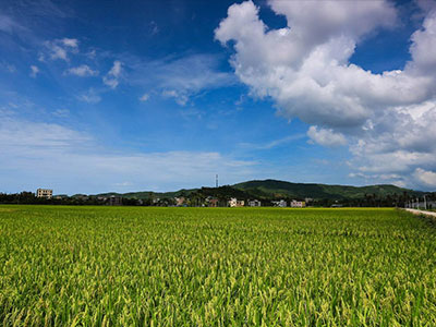 市場中的農(nóng)資代理å?.jpg 市場中的農(nóng)資代理å?.jpg