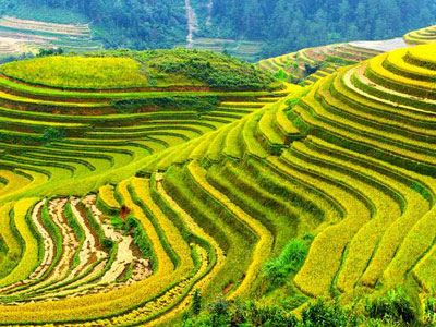 農(nóng)資廠家怎樣具備互聯(lián)網(wǎng)思維1.jpg 農(nóng)資廠家怎樣具備互聯(lián)網(wǎng)思維1.jpg