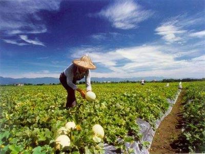 想要成為一名出色的肥料代理商應(yīng)該怎么�?1.jpg 想要成為一名出色的肥料代理商應(yīng)該怎么�?1.jpg