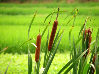 農(nóng)資產(chǎn)品銷售不出去是為什�?1.jpg 農(nóng)資產(chǎn)品銷售不出去是為什�?1.jpg