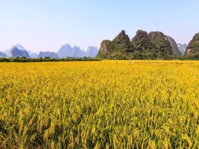 農(nóng)資代理商該如何突破困局�?1.jpeg 農(nóng)資代理商該如何突破困局�?1.jpeg
