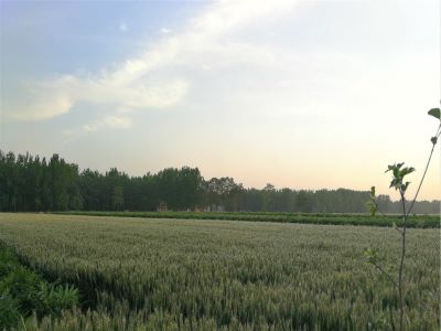 農(nóng)資企業(yè)如何有效的選擇代理å?.jpeg 農(nóng)資企業(yè)如何有效的選擇代理å?.jpeg