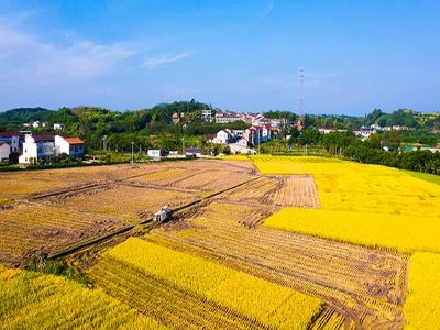 農(nóng)資招商廠家該如何發(fā)展自�?.jpeg 農(nóng)資招商廠家該如何發(fā)展自�?.jpeg