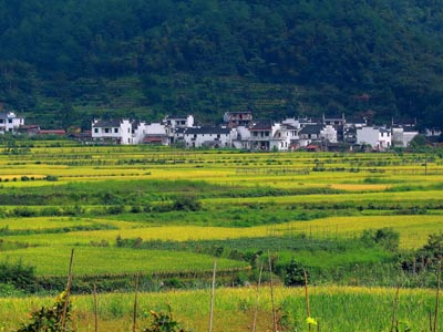 如何提升農(nóng)資產(chǎn)品的銷é?.jpg 如何提升農(nóng)資產(chǎn)品的銷é?.jpg