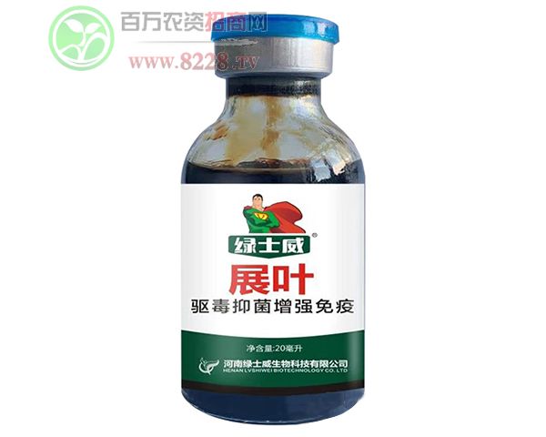病毒病獨�?展葉-綠士�?.jpg 病毒病獨�?展葉-綠士�?.jpg