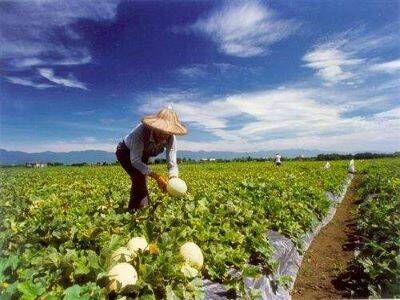 想要成為一名出色的肥料代理商應該怎么�?.jpg 想要成為一名出色的肥料代理商應該怎么�?.jpg
