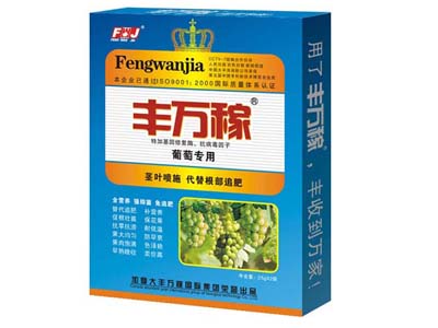 �S�f(w��n)�����ь���