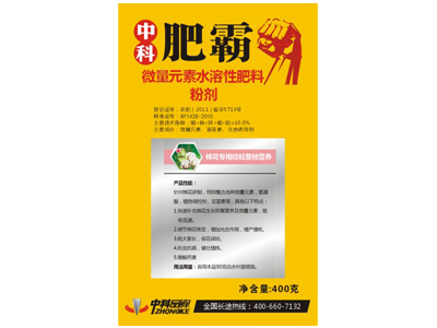 �޻�������֦�I(y��ng)�B(y��ng)