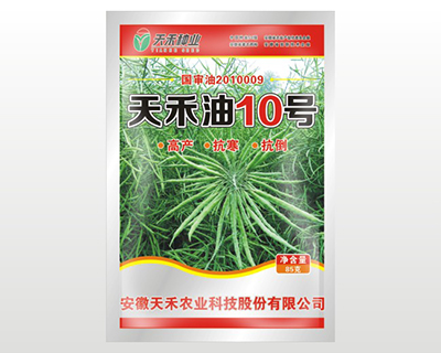 �����10̖(h��o)