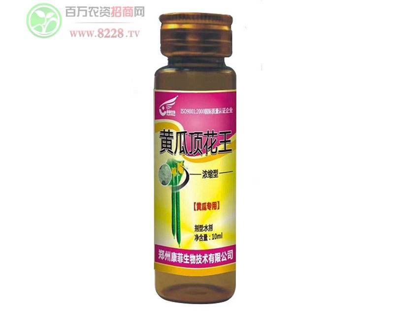 �S��픻���-�S�Ϫ�(d��)��-��