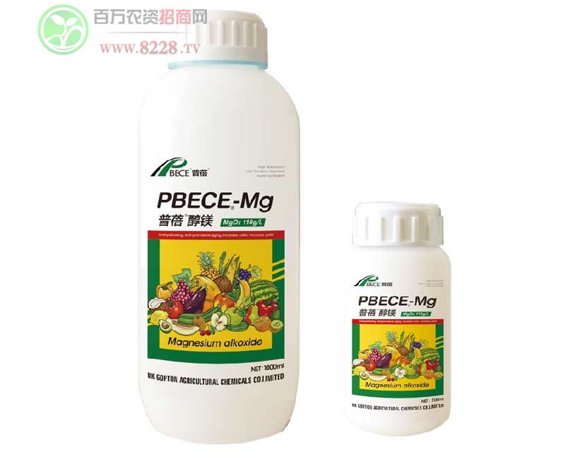 Ӣ���M���������VPBECE-Mg